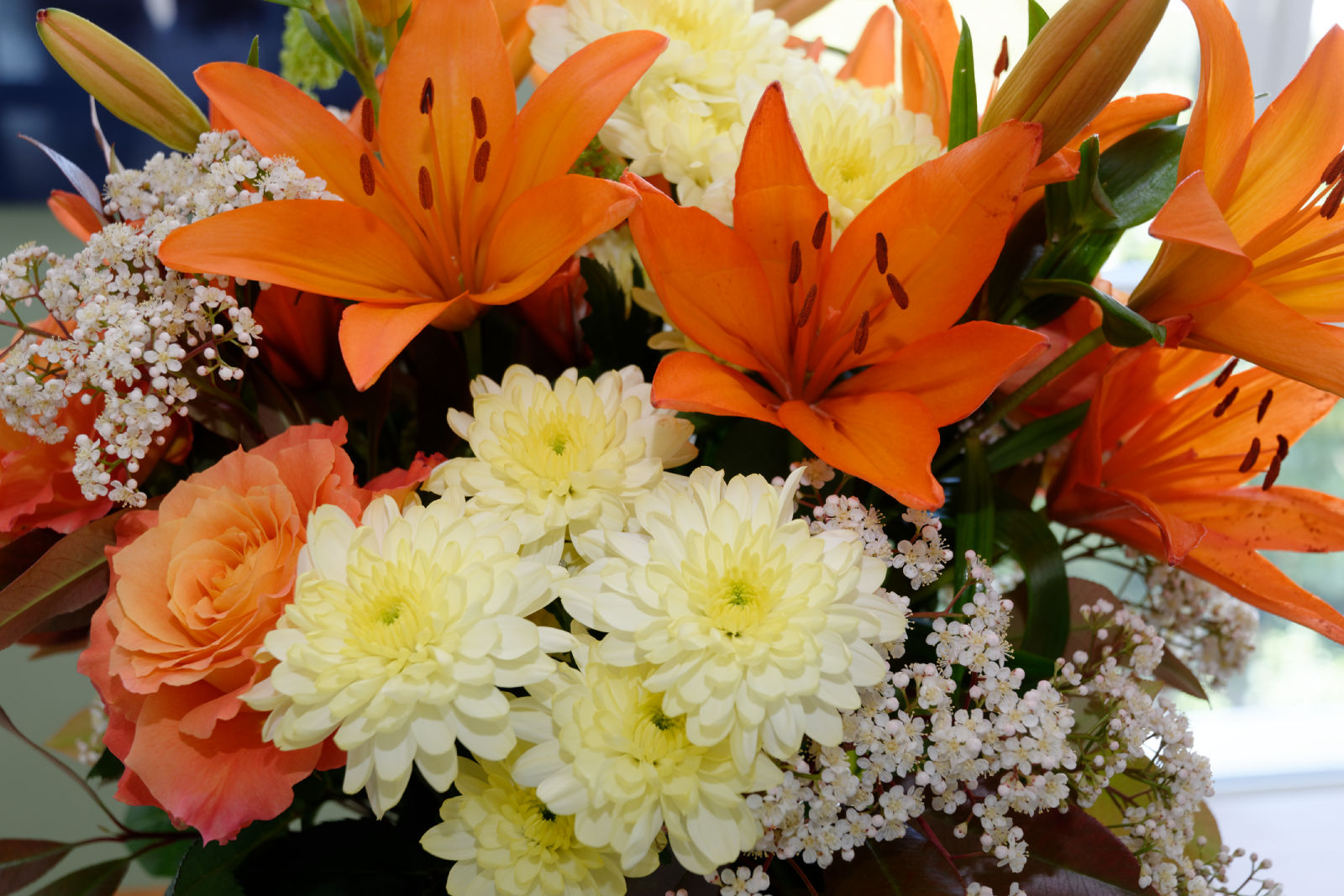 2017-04-09 13-00-54 web.jpg