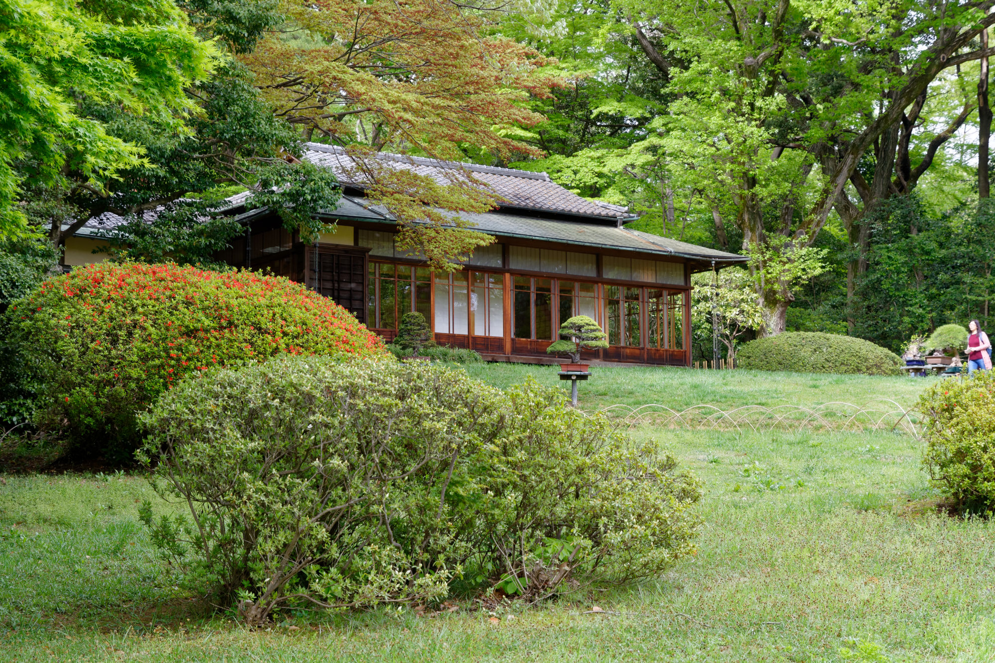 2017-04-18 14-31-11 Tokio