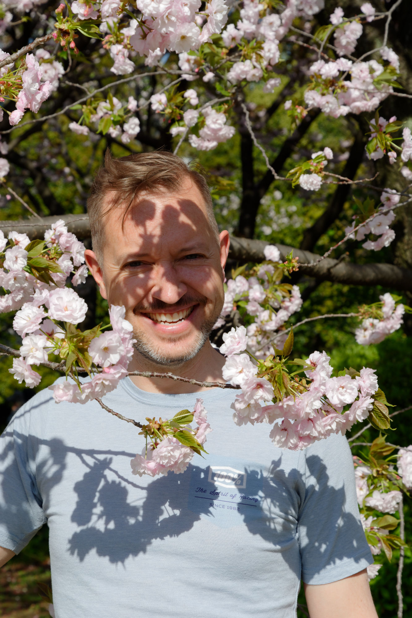 2017-04-19 15-17-03 Cherry Blossom