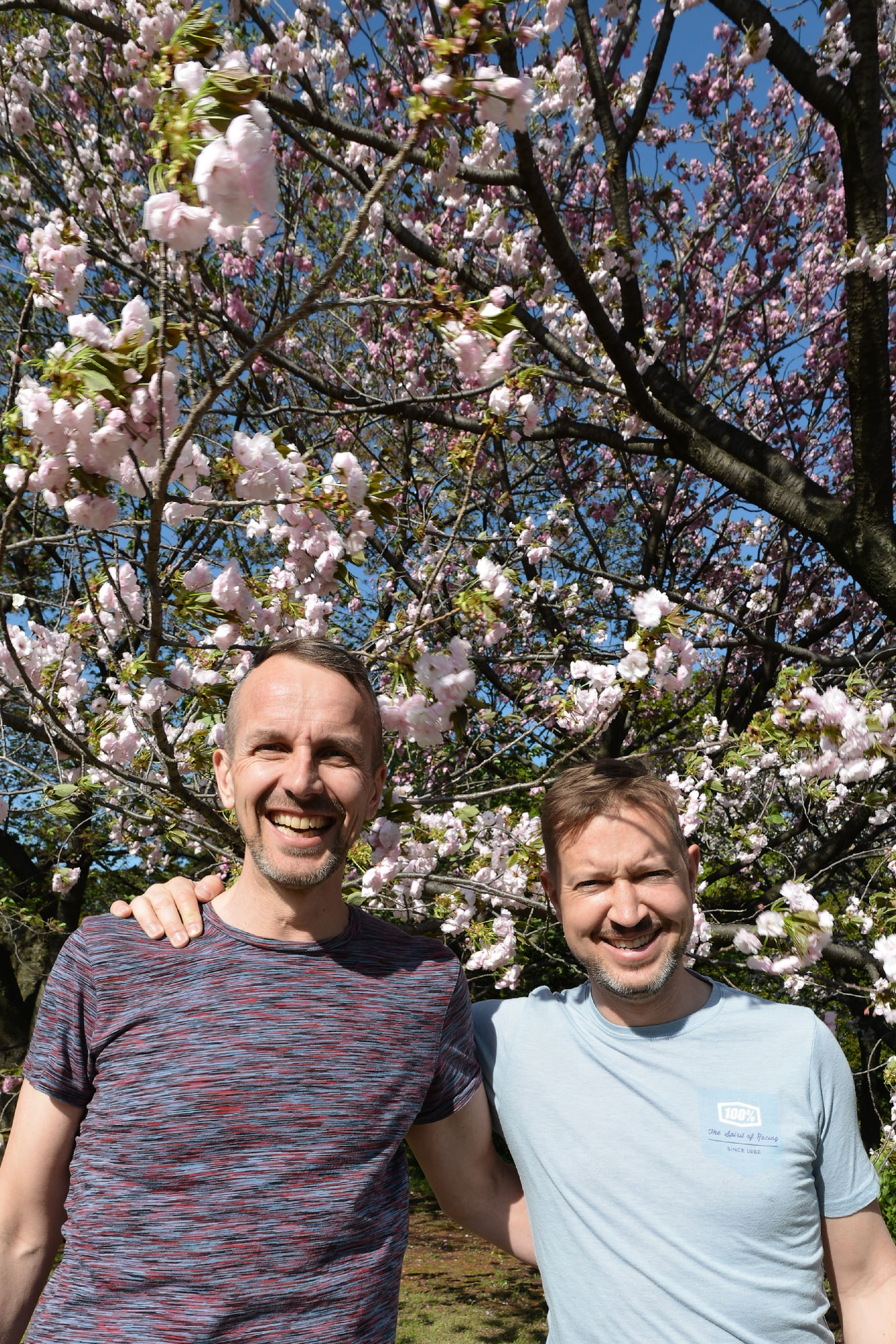 2017-04-19 15-22-07 Cherry Blossom